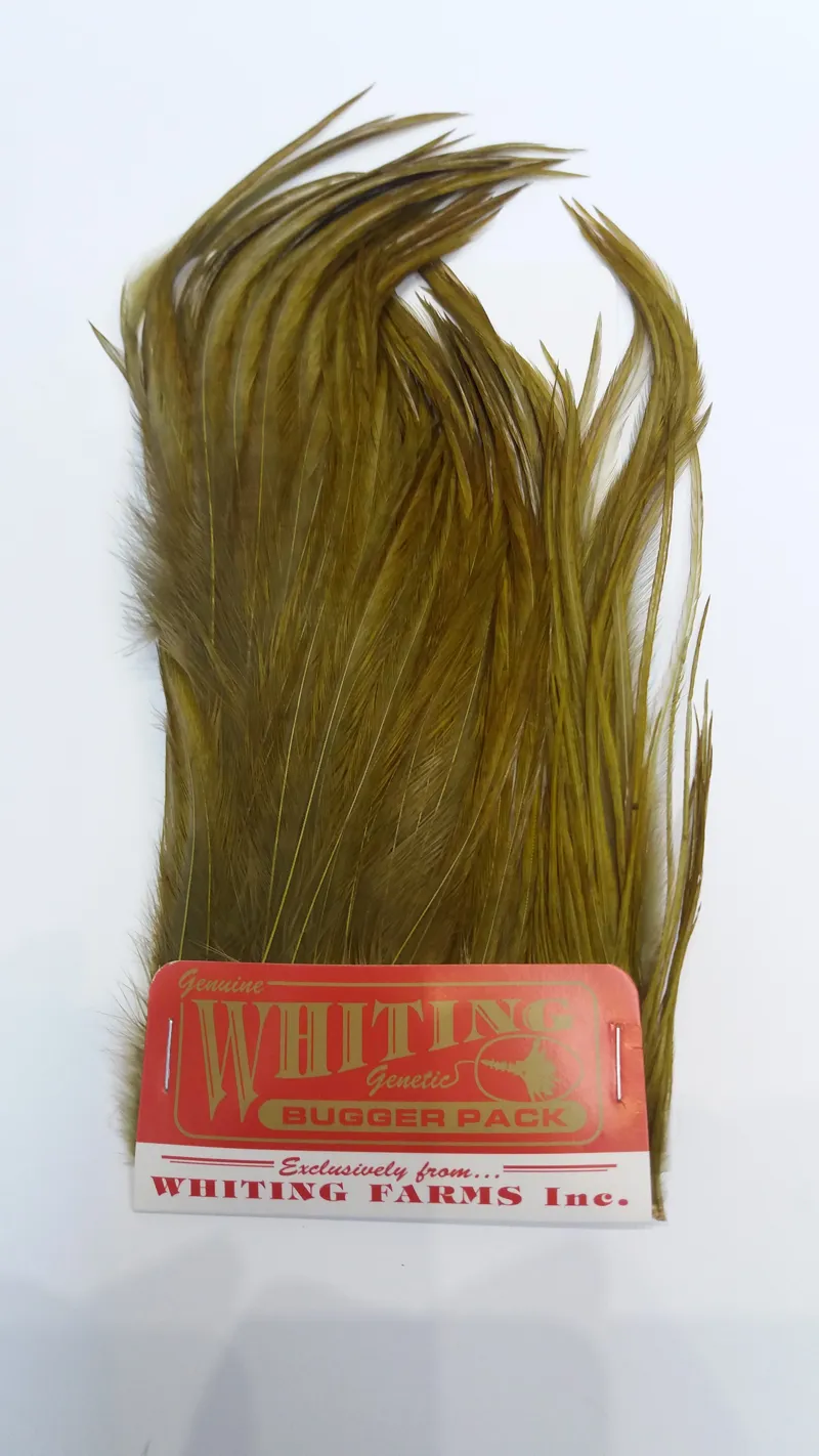 Whiting Bugger Pack in Dark Olive